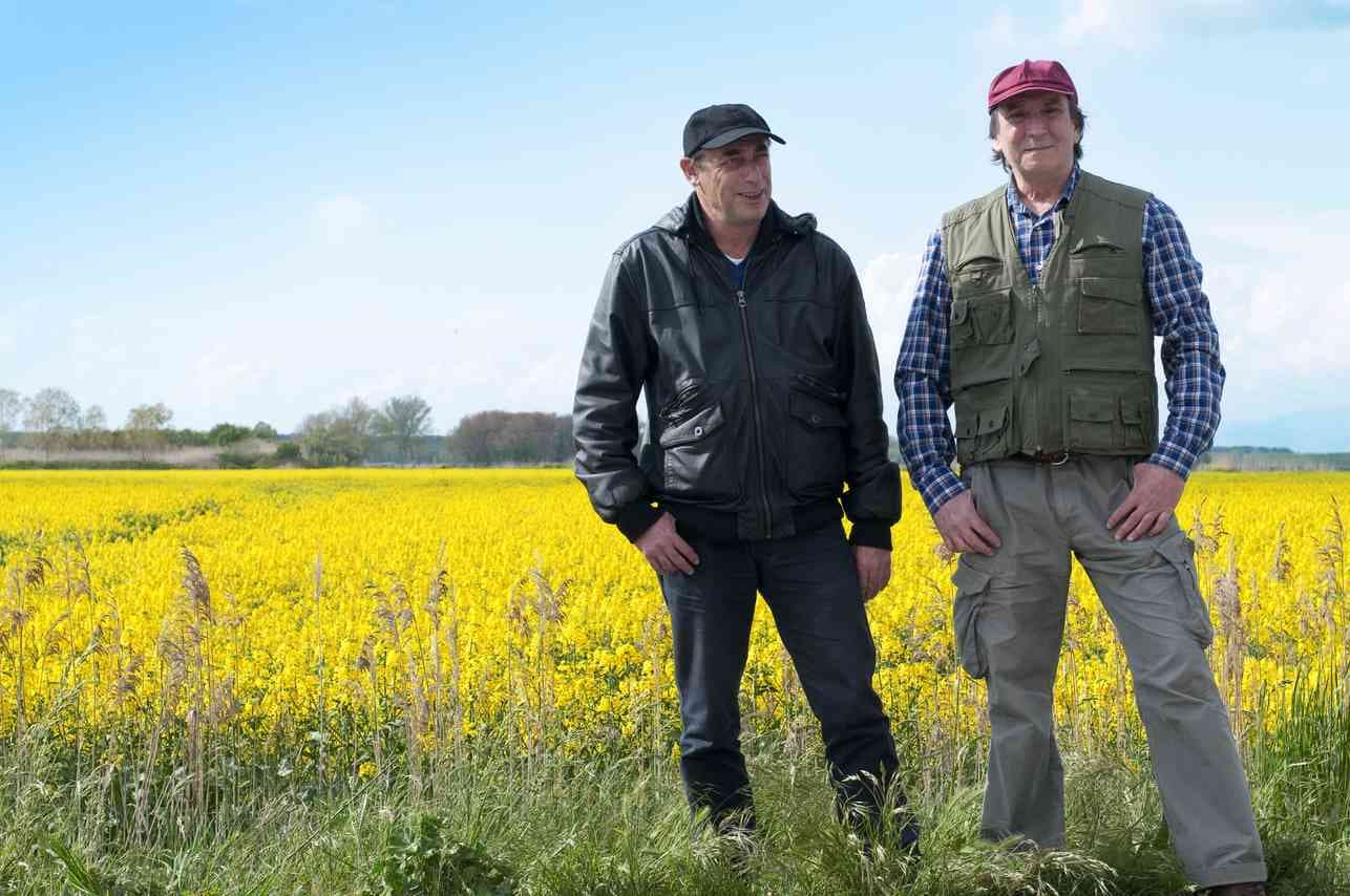 Two farmers in front of camelina field